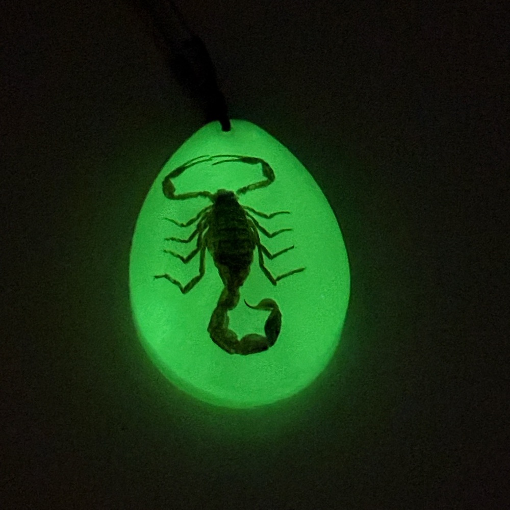 Scorpion Lucite Necklace Glow in the Dark OS Adjustable Witchy unbranded